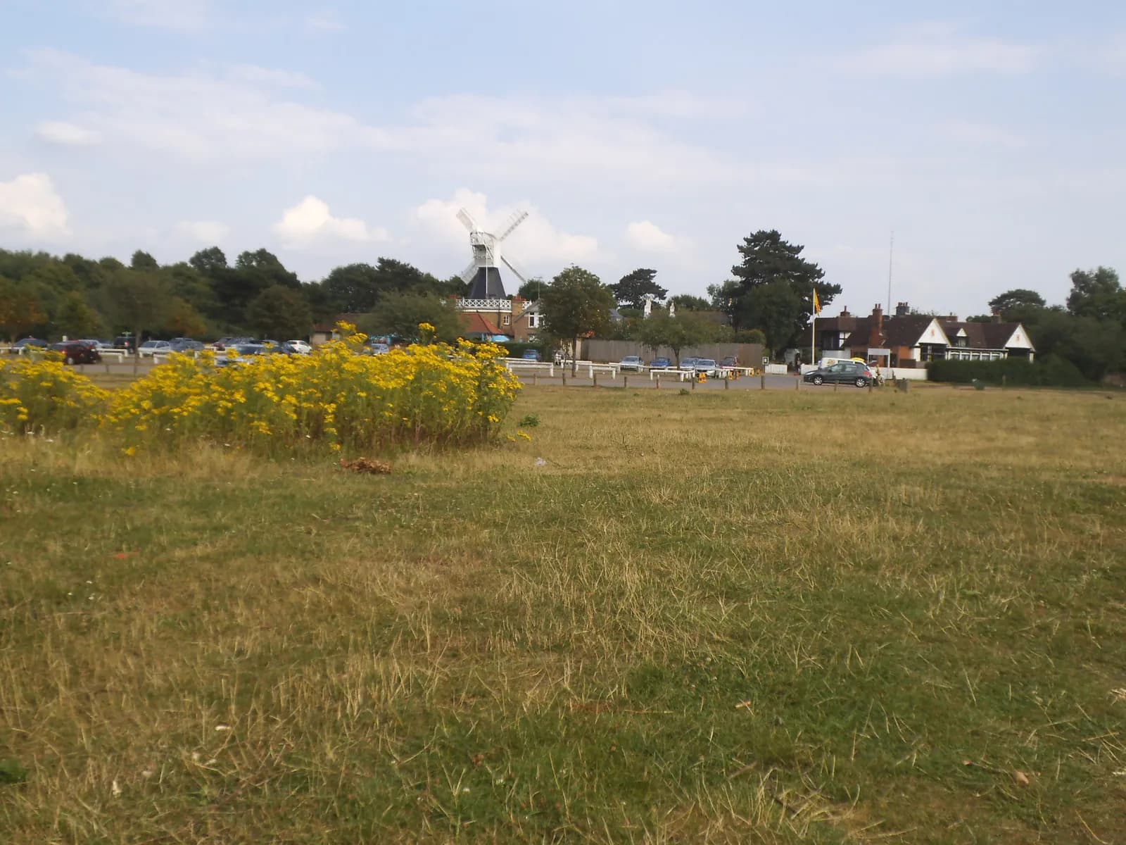 A Guide to Merton's Green Spaces: From Wimbledon Common to Morden Hall Park